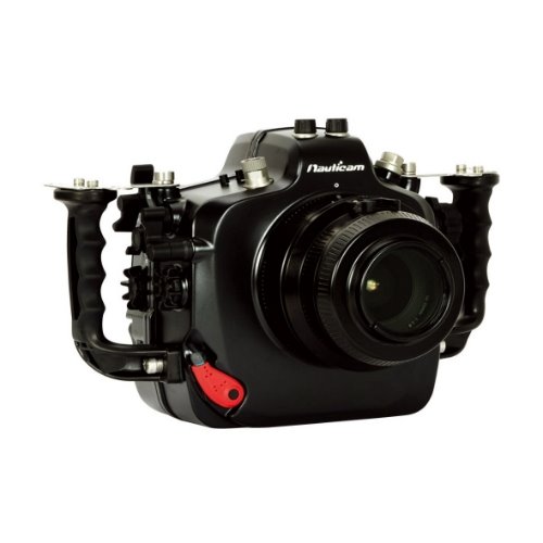 펀다이빙몰[노티캠/NAUTICAM] 노티캠 캐논 Canon 1DX MARKⅡ(*)NAUTICAM[PRODUCT_SEARCH_KEYWORD]